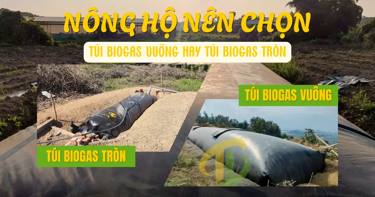 Nông Hộ Nên Chọn Túi Biogas Vuông Hay Túi Biogas Tròn